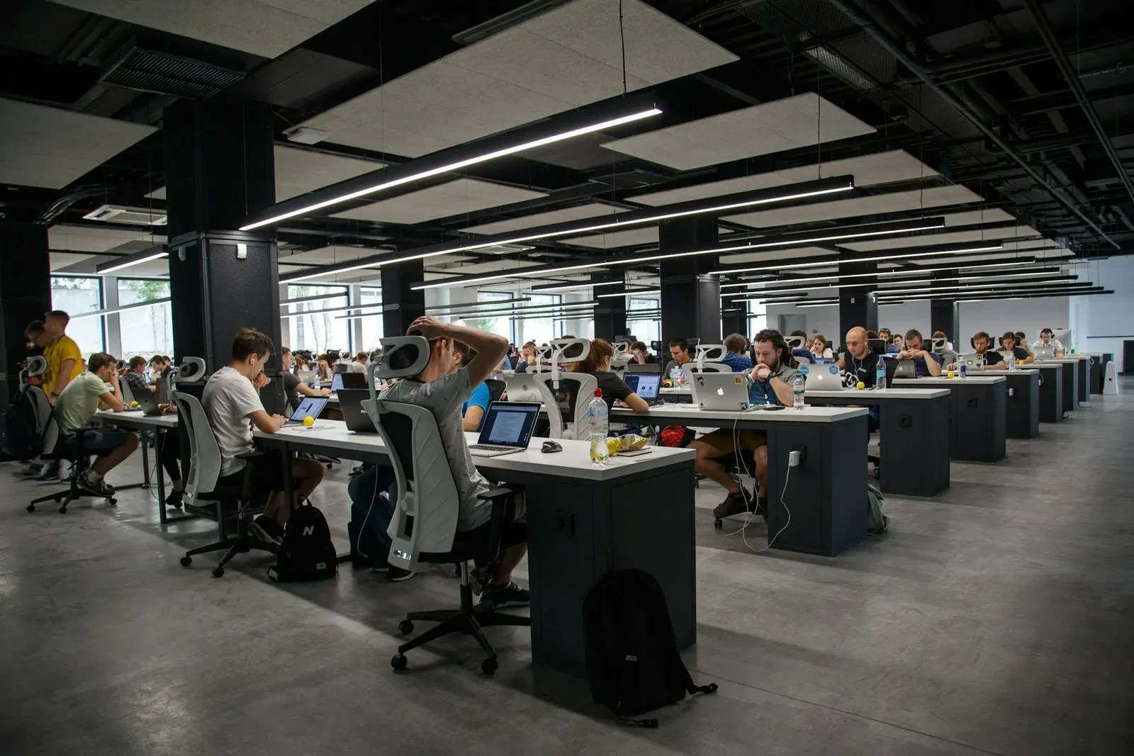 ofis